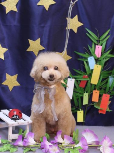 20230709HONEYちゃん